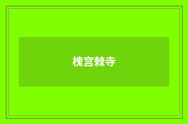 槐宫棘寺