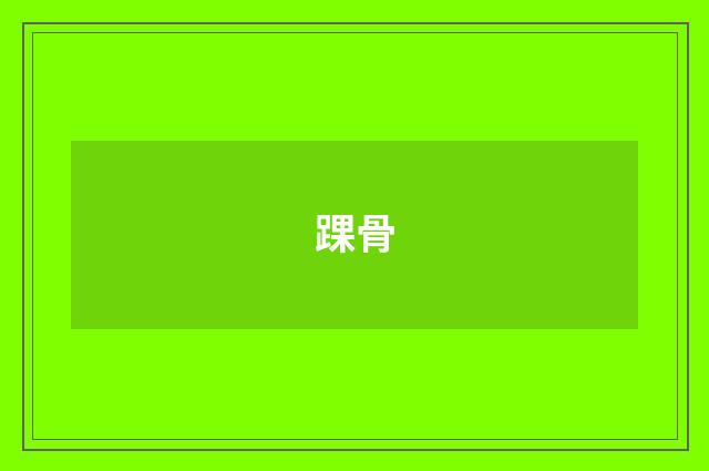 踝骨