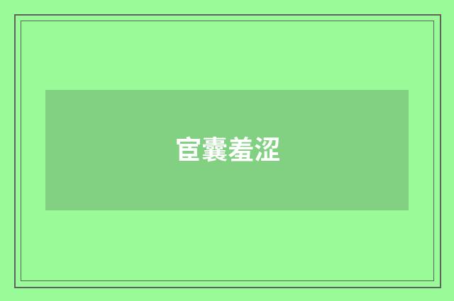 宦囊羞涩