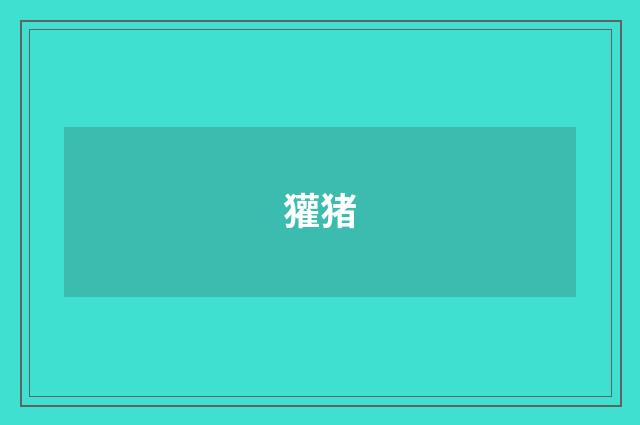 獾猪