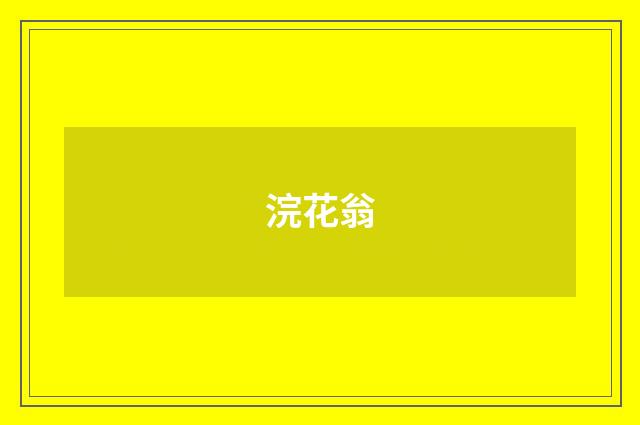 浣花翁