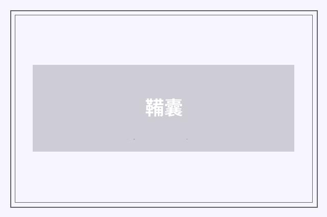 鞴囊