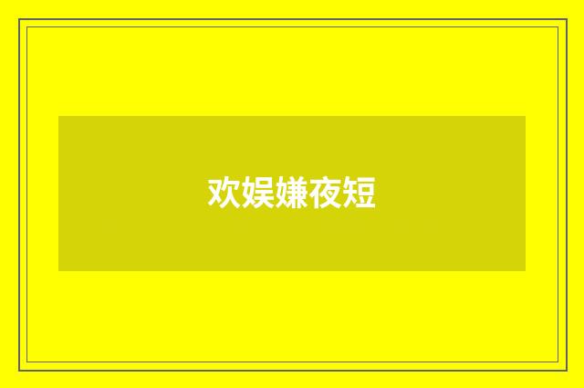 欢娱嫌夜短