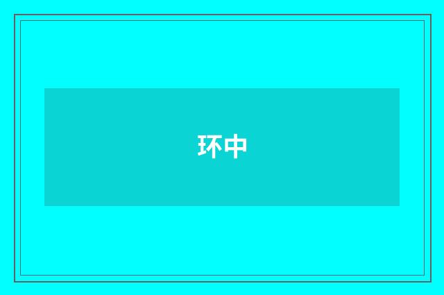 环中