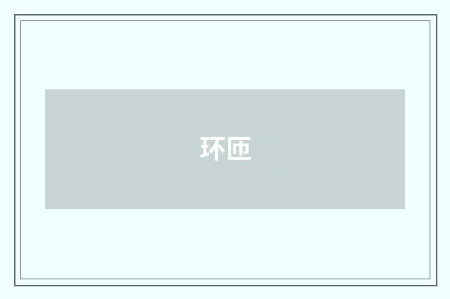 环匝