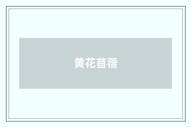 黄花苜蓿