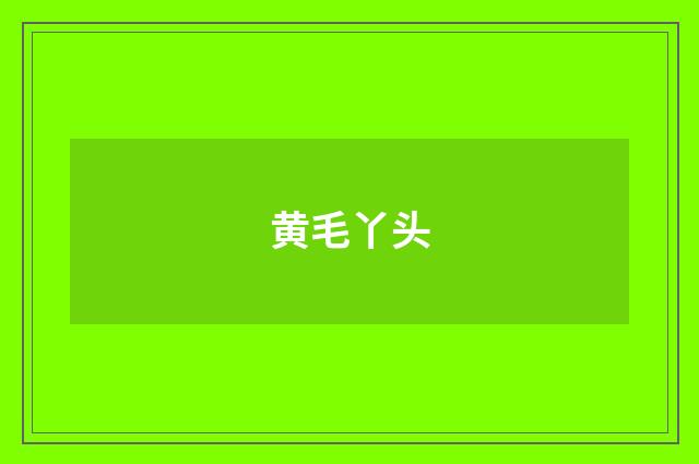 黄毛丫头