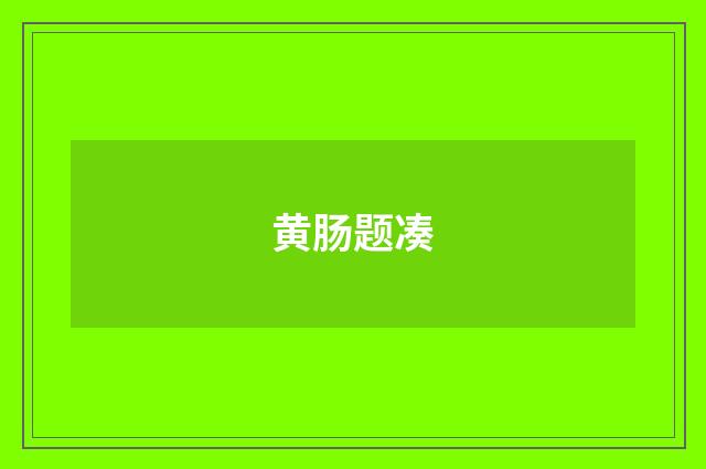 黄肠题凑