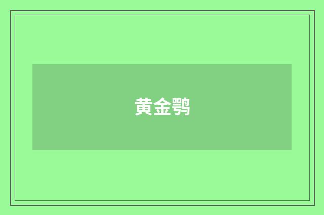 黄金鹗