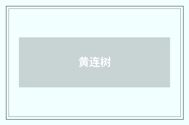 黄连树