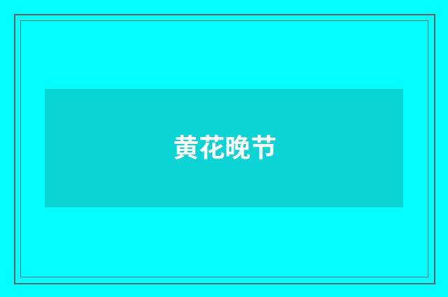 黄花晚节