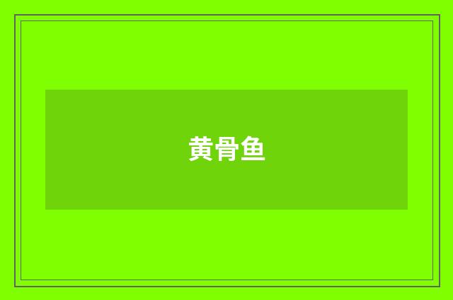 黄骨鱼
