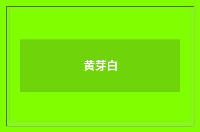 黄芽白