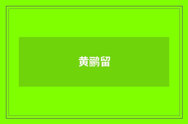 黄鹂留