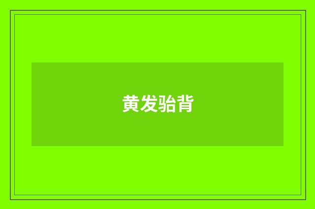 黄发骀背