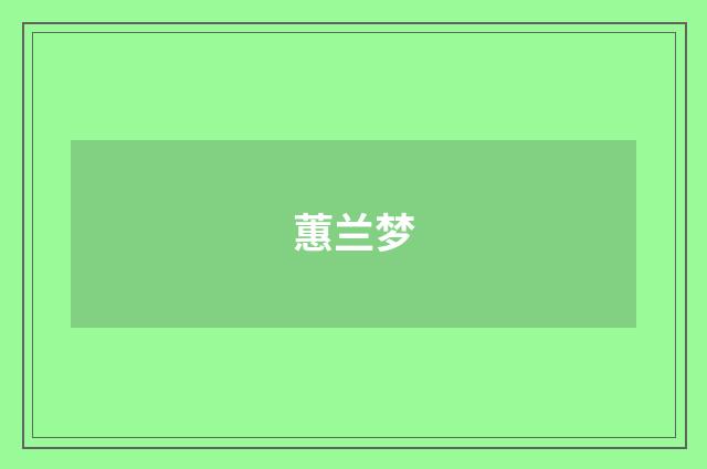 蕙兰梦