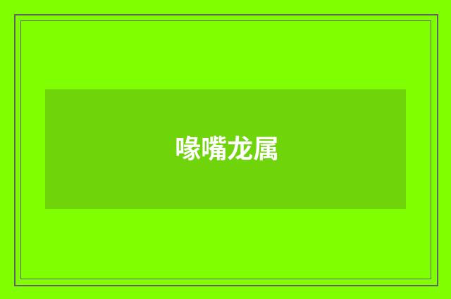 喙嘴龙属