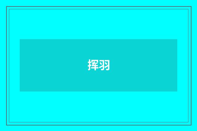挥羽