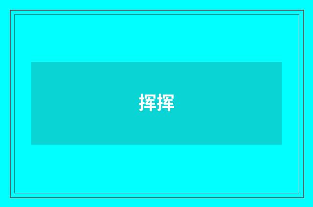 挥挥