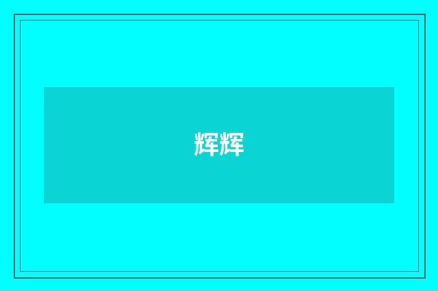 辉辉