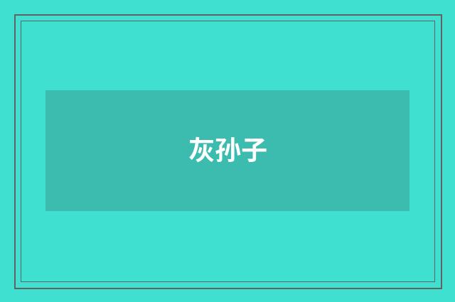 灰孙子