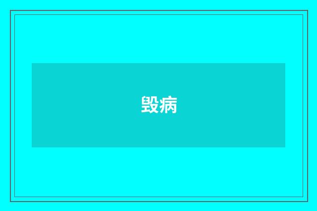 毁病