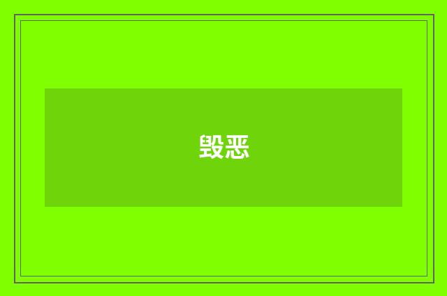 毁恶