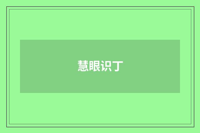 慧眼识丁