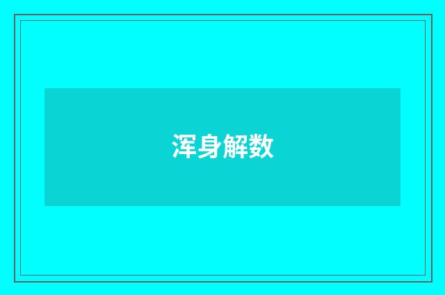 浑身解数