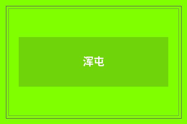 浑屯