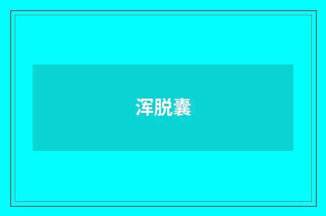 浑脱囊