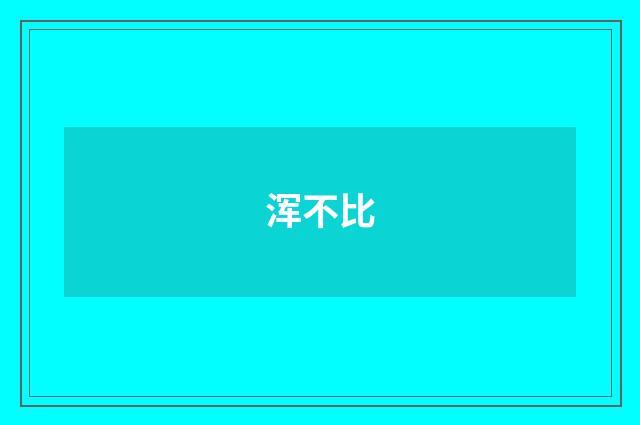 浑不比