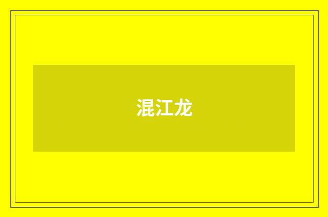 混江龙