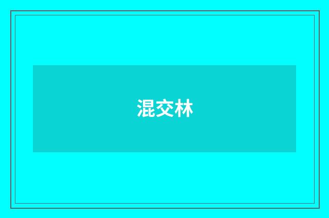 混交林