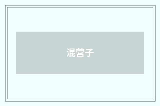 混营子