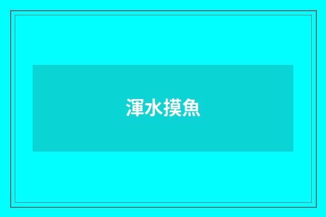 渾水摸魚