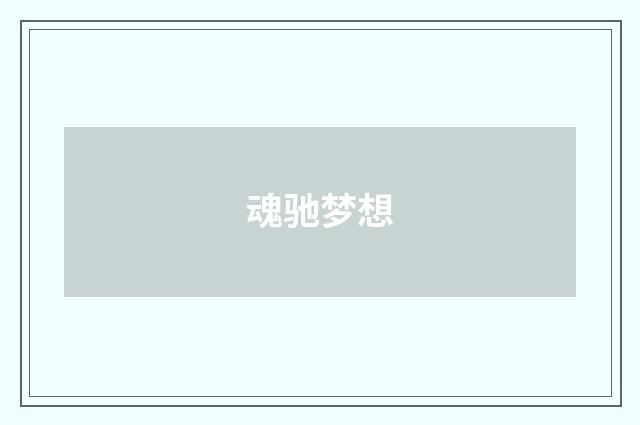 魂驰梦想
