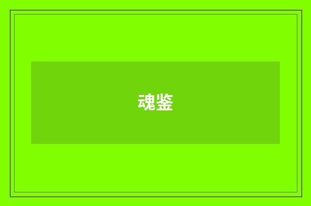 魂鉴