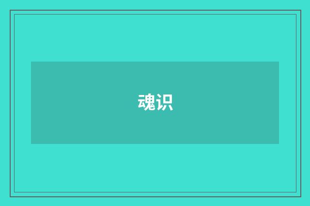 魂识
