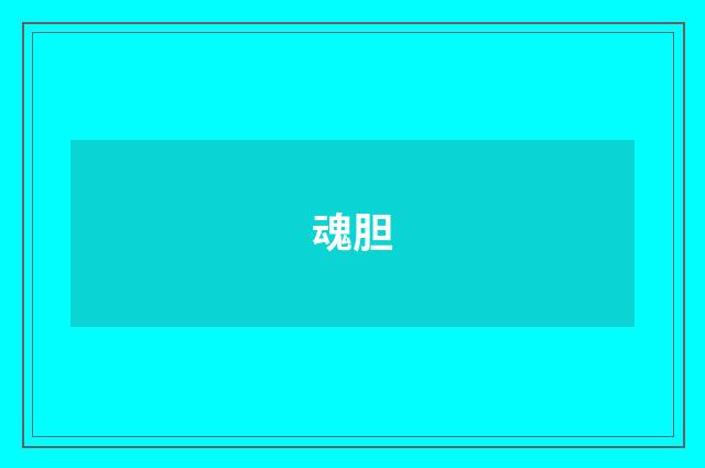 魂胆