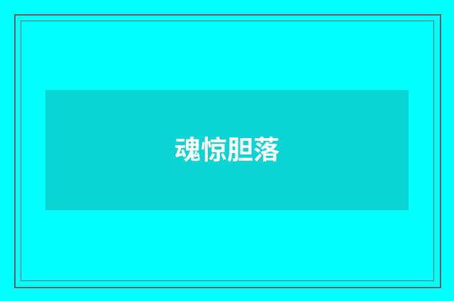 魂惊胆落