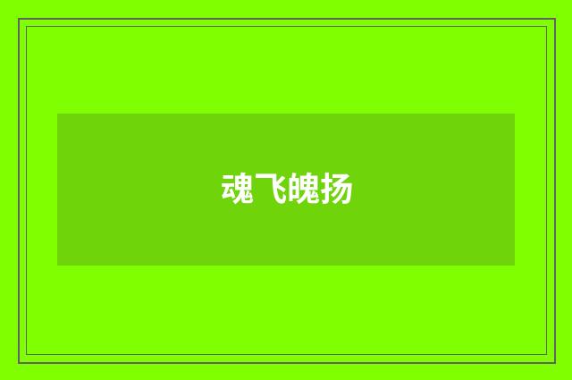 魂飞魄扬