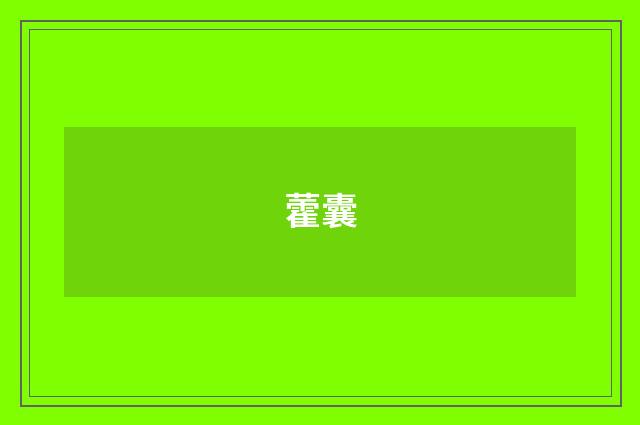 藿囊
