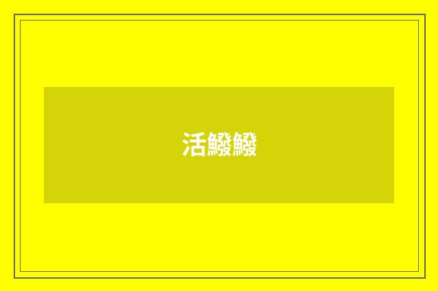 活鱍鱍