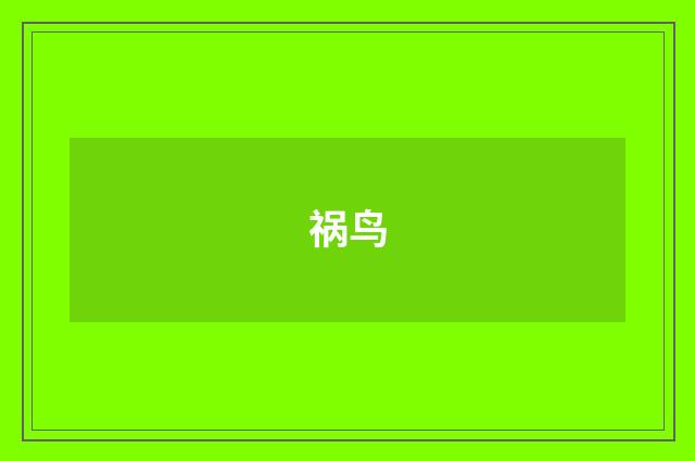 祸鸟
