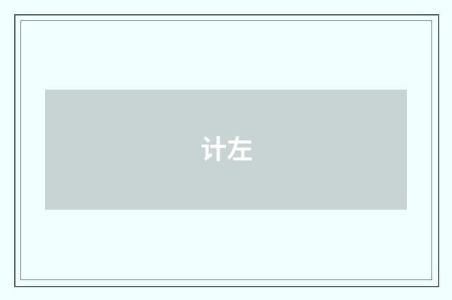 计左