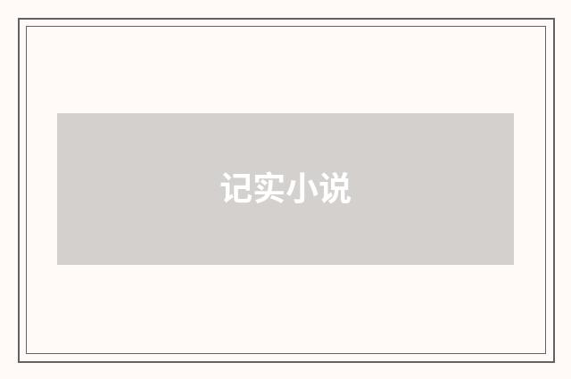 记实小说