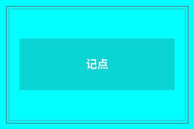 记点