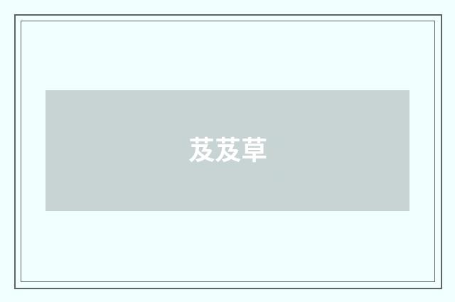 芨芨草