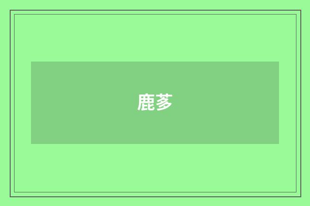 鹿茤